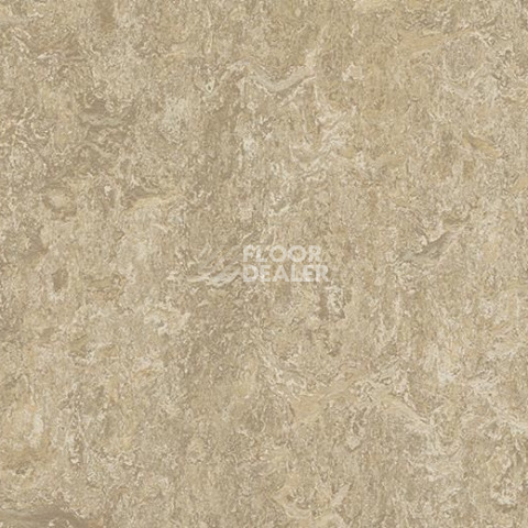 Линолеум Forbo Marmoleum Decibel on Order 323435 forest ground фото 1 | FLOORDEALER